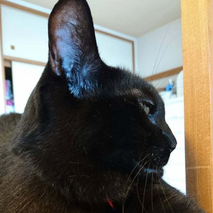 3aba355d 5dd6 42f3 bbc5 cdab115db624