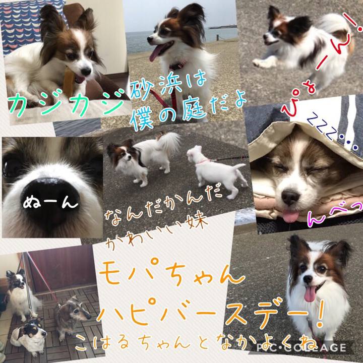 3abaa2ff dd72 484b a9c5 839dfa38363d