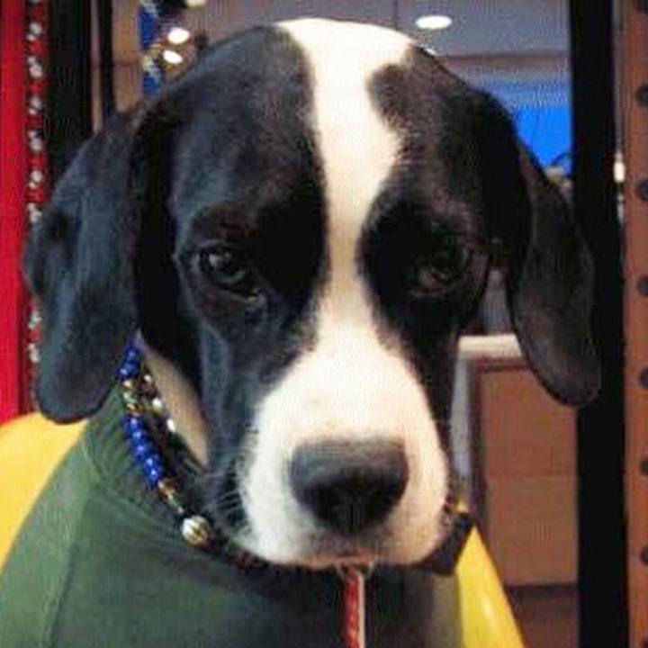 3abb118d 240e 4204 9906 ab374e664589