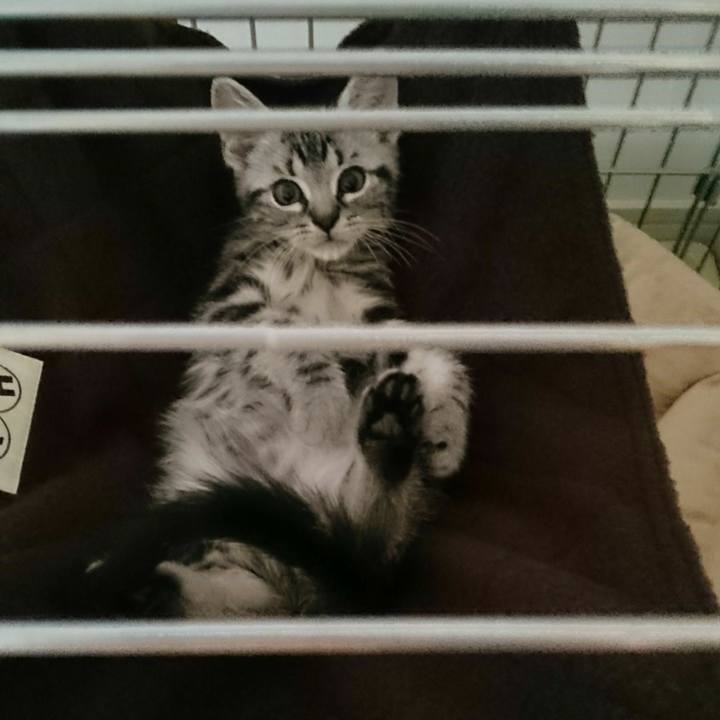 3abb84ed 0afa 4c38 aa2f d7c63c4206c0