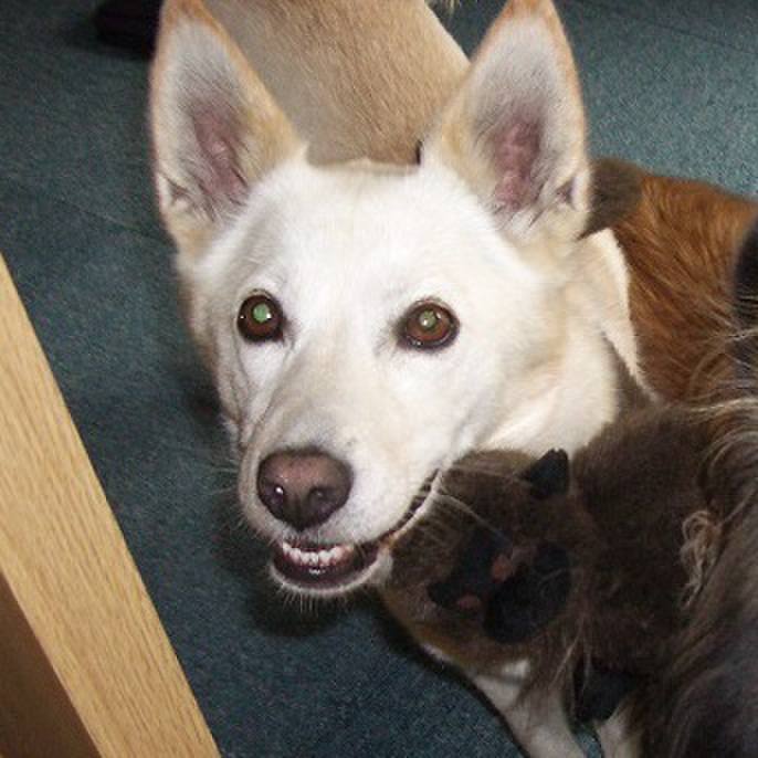 3abbae8f 09eb 40f3 ad33 120ce5fa1edc