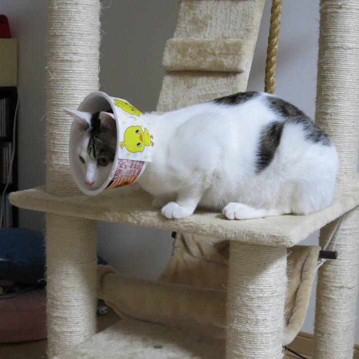 3abbdc04 d9d1 41bc acfe 62efa6221fb3