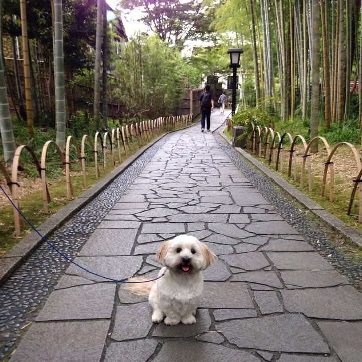 3abdc004 c7d8 4562 aefa 0058a55fa572