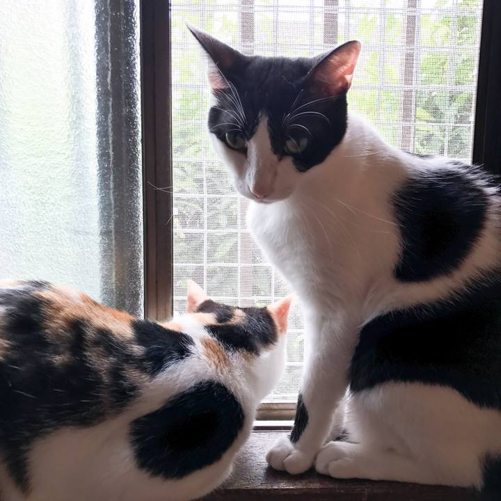 3abdc97d cfd8 48a5 9bf0 5bc0cd19d268