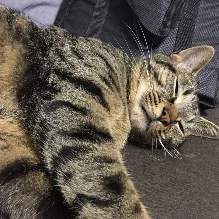 3abe2ad5 6b31 4b53 a318 ff57d5cbe342