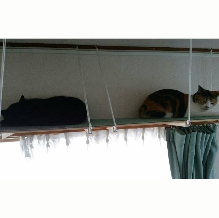 3abe4040 ca03 42e9 adcf e5cad4baf0af