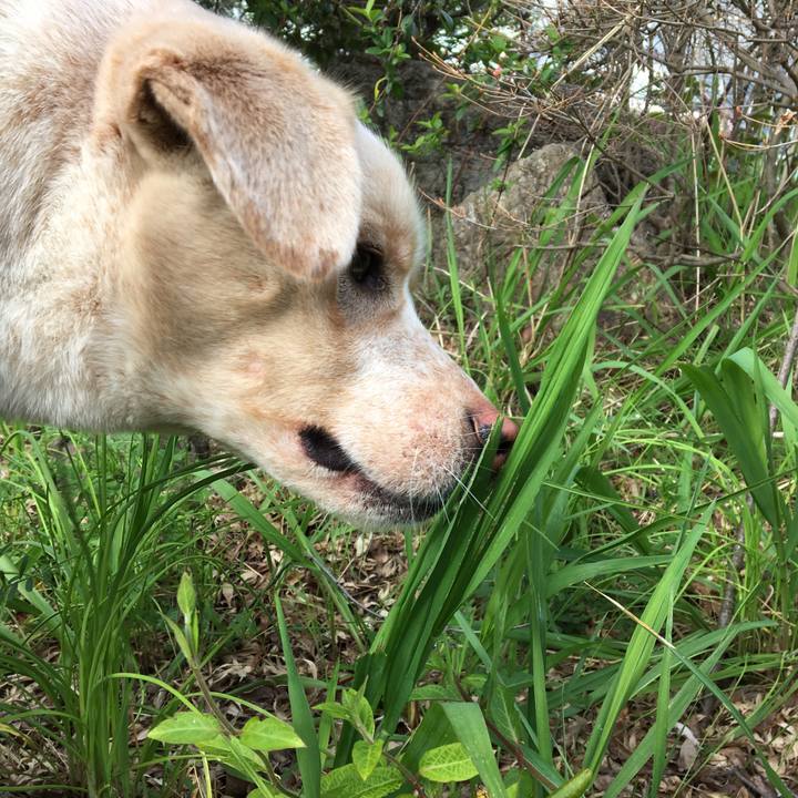 3abe7fd2 eb97 45c8 a800 db03a5b26d70