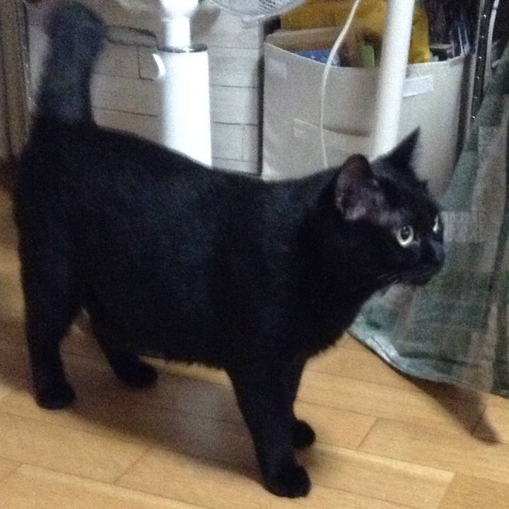 3abe9bfe 9b11 4d39 930e 9e5b70339394