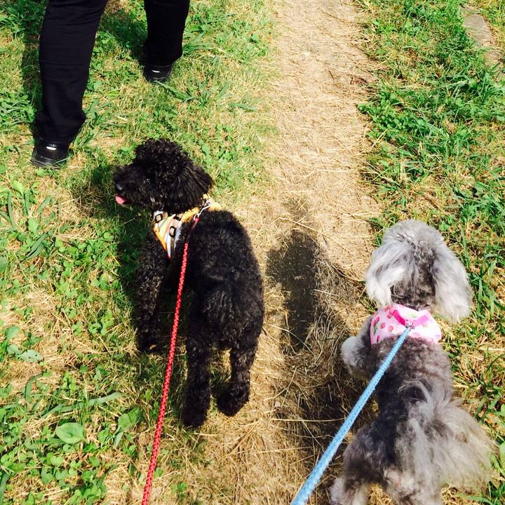 3abf071e 736f 4889 ab43 c325fd4ac599