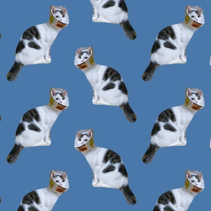 3abf0d80 082c 463a 9eec f123a0631fc6