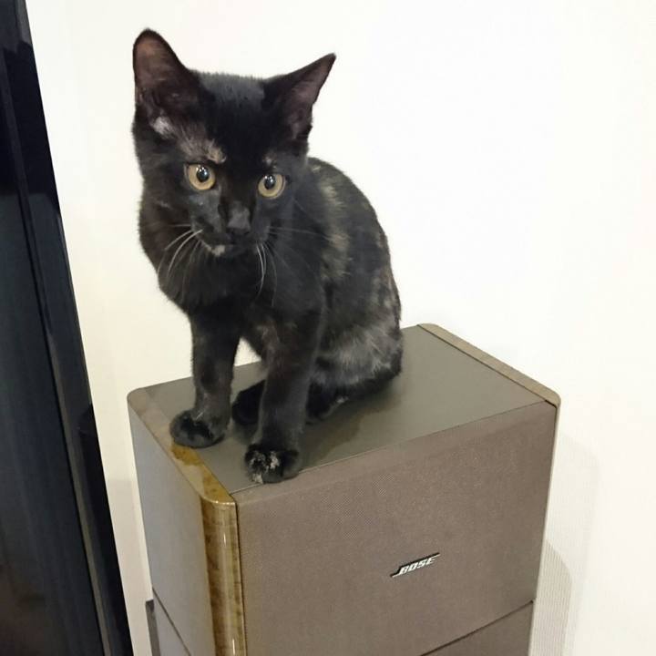 3abfc625 b200 4323 9463 d61a18672d99