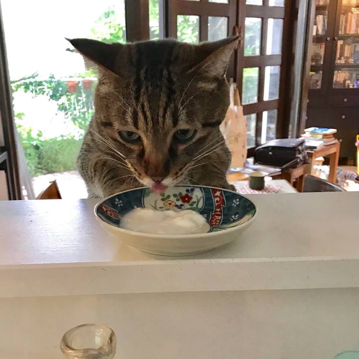 3abfff33 c93a 48a2 a5ad 52bede48f7ab