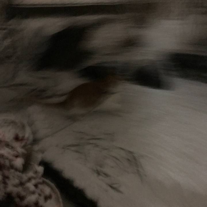 3ac08b26 d537 451e 9ad6 4c168c198a0e