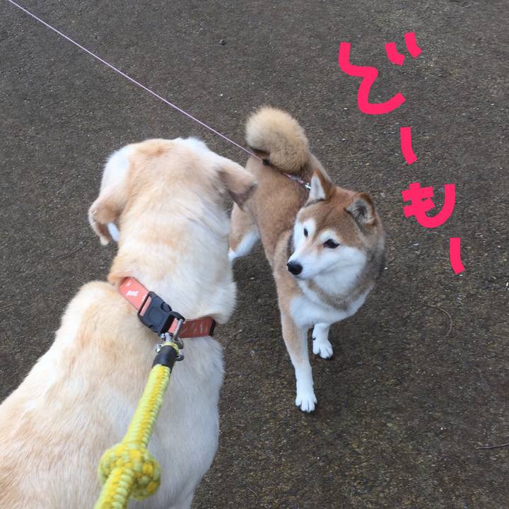 3ac0b632 bd7f 4d5a 8fd0 a8473be1adec