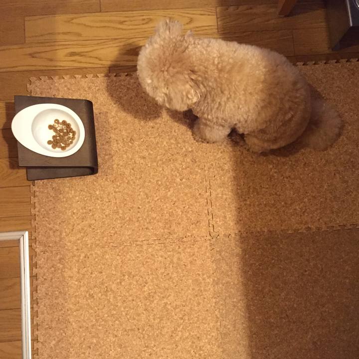 3ac16898 a1f5 4f88 b157 e4e82af33dfe