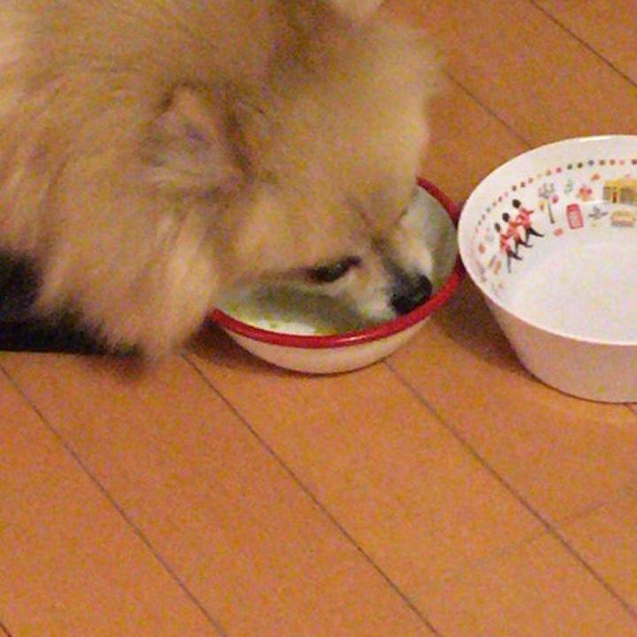 3ac1b310 ce34 4eb8 94dc f4079384fc2e