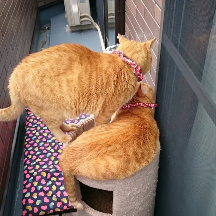 3ac1cdaa 15fb 4944 8e44 9ecf2b5e0326