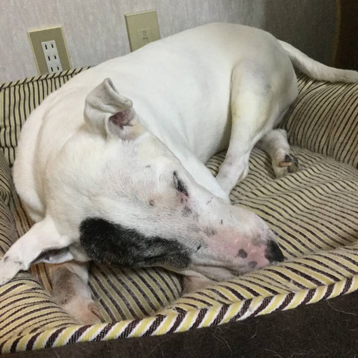 3ac24c2e 24b3 4bba b246 9968705c985b