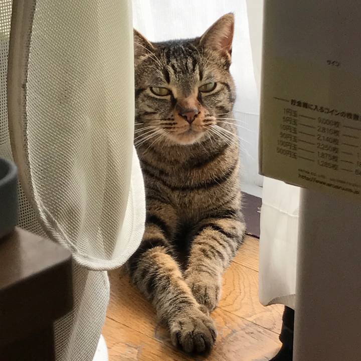 3ac27b6a 1659 4a27 9fb1 0c40a05d74af