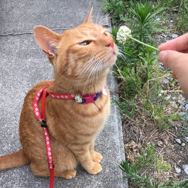 3ac2b1d2 168a 42bb bc3f 21d4b26fd3d0