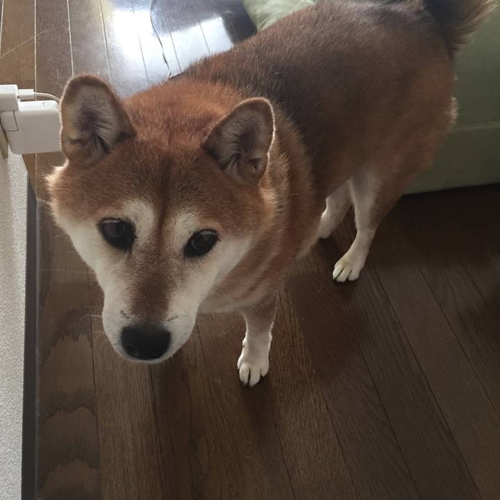 3ac3119f 22be 4db1 85de ce0864bf9db4