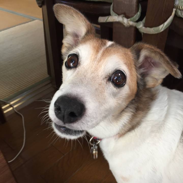 3ac3529d 89ab 4f00 8802 9cf8ded312d0