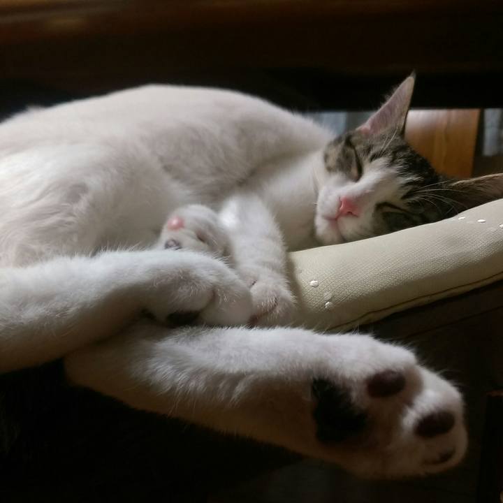 3ac35dbf 9e40 4346 a59c 5eb216d22244