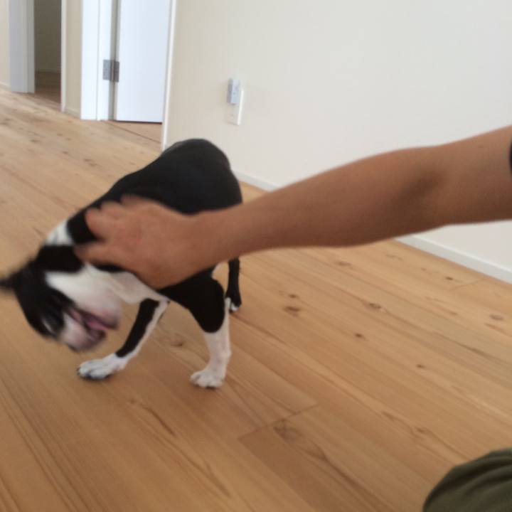 3ac42f0f 3bb7 4cb5 8c40 275bd17e1a21