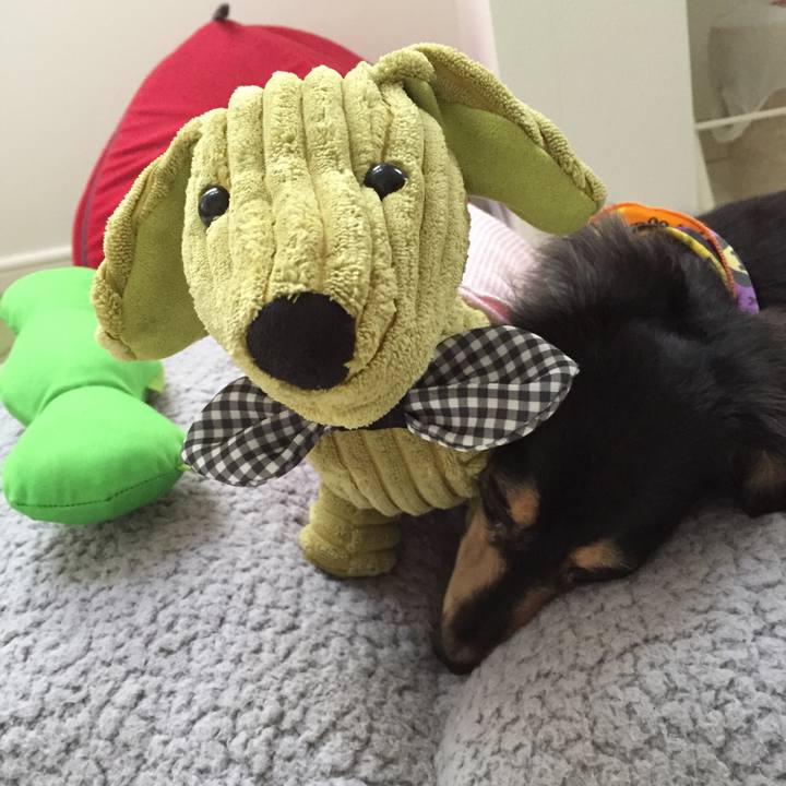 3ac508b6 11b1 4c41 bdcd eaa9364930d5