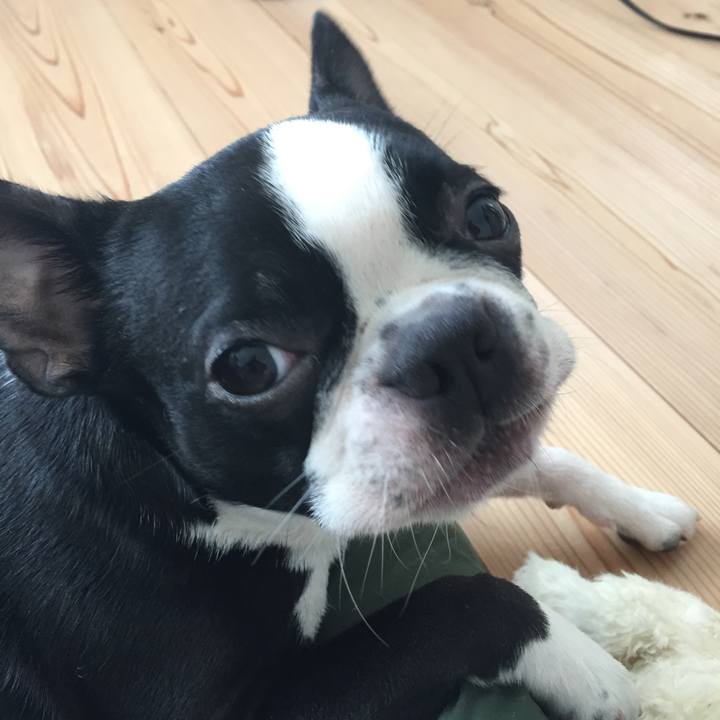 3ac579fd d4c3 453d 88d4 b8b2f80b4ba0