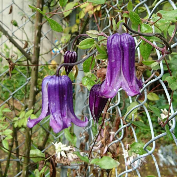 3ac6304c 5dab 4404 8b2b 689b46c5e68e