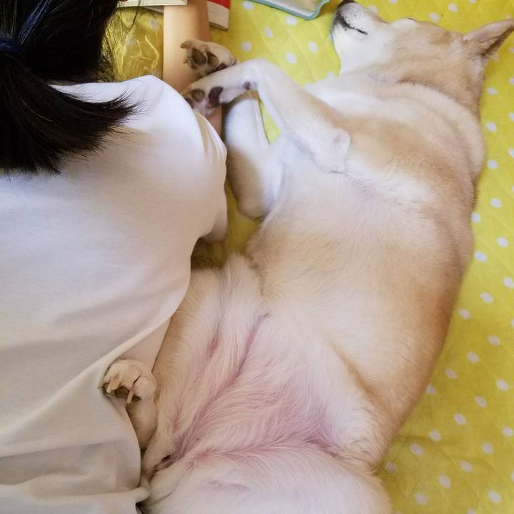 3ac6a96c 2bcf 4d3c 9cbb a1514c78df79