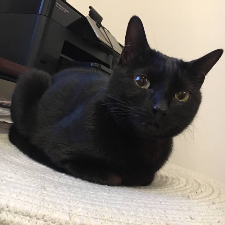 3ac73b90 4421 4cd3 a1fb 0dec16153231