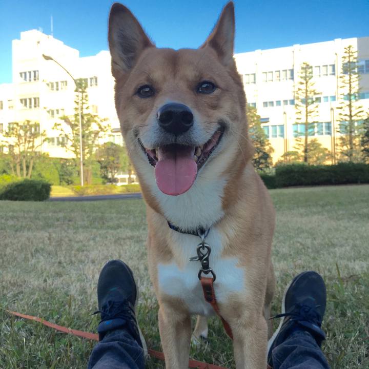 3ac74e70 33f7 4c66 9b60 54af7c0bca56