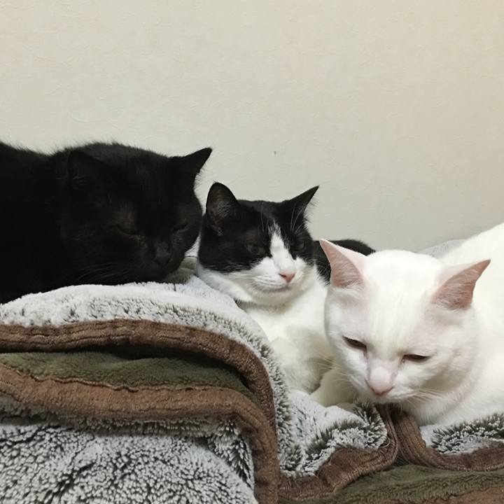 3ac79260 ec46 4052 a2c1 28c74c213820