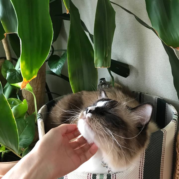 3ac79e38 348b 434c aee1 8ffcde477346