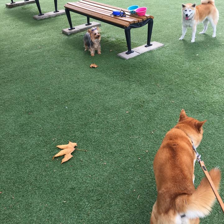 3ac7ad09 5549 45c7 a9b9 8b4aee3a57f0