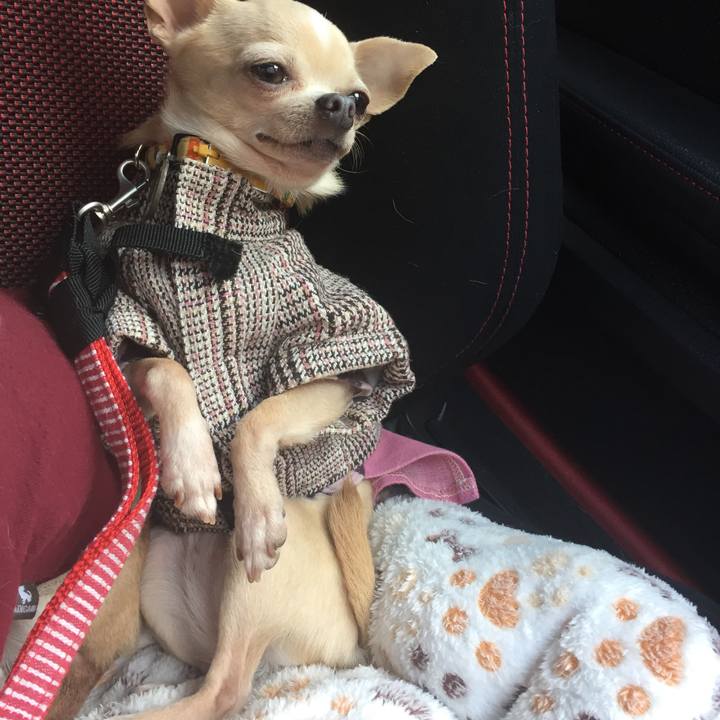 3ac7fc52 d5ec 4c4a a45d 53360462c8d8