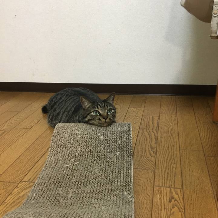 3ac80fc7 b2a9 4a9b b6ae 3a78d177f0be