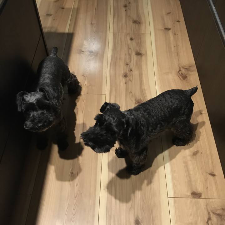 3acab790 69c0 4916 9b16 d5269436effe