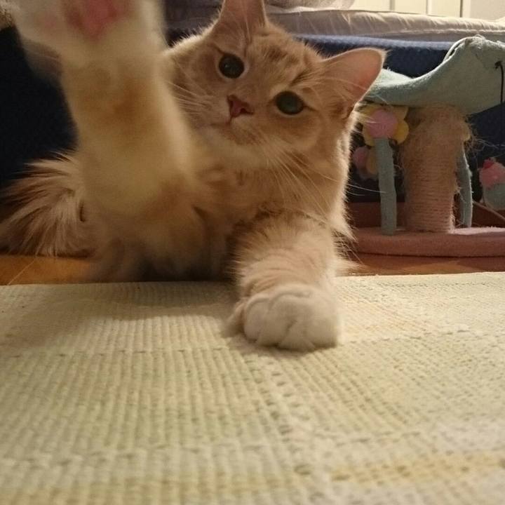 3acae48a 59c4 495b 84d1 4fcfb3dafeb6