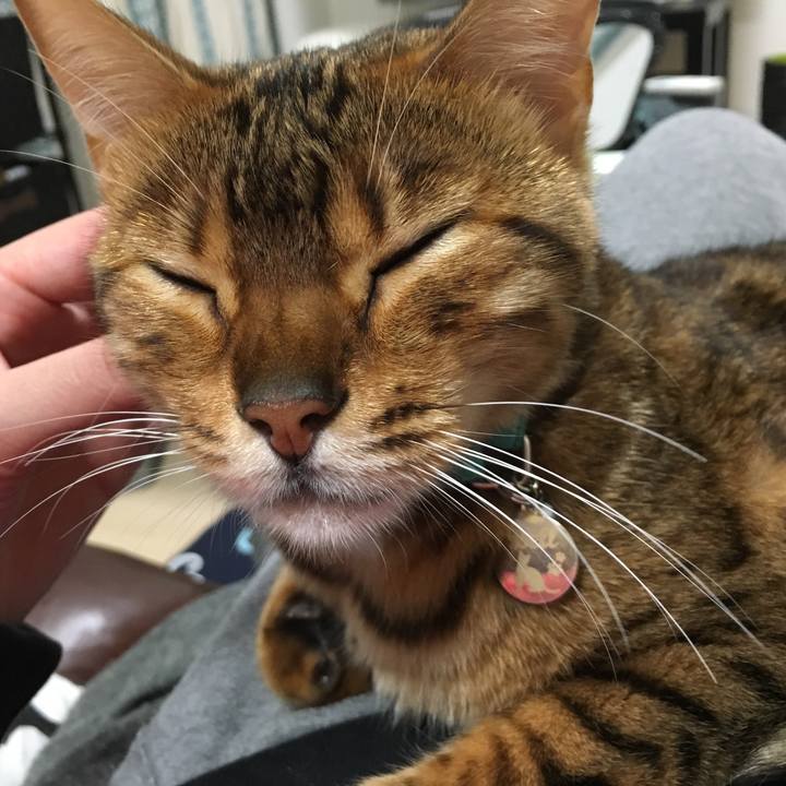 3acaf18b 5bfa 437c 8fa3 666508ad82f1