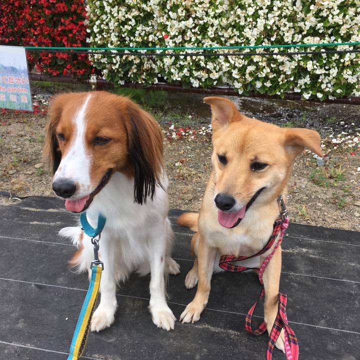 3acafab1 e5ed 4a1e a9fd b5bb799f4eb6