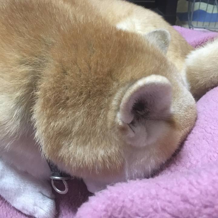 3acb6fb3 181b 4d04 8f82 66afa0161fd7