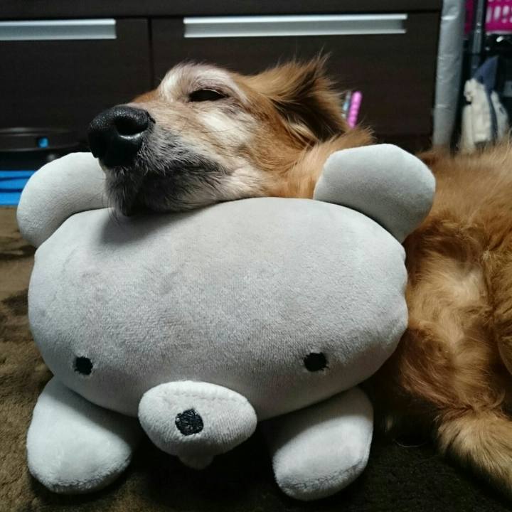 3acc2c67 f569 422b 9761 4ee9c77b0de1