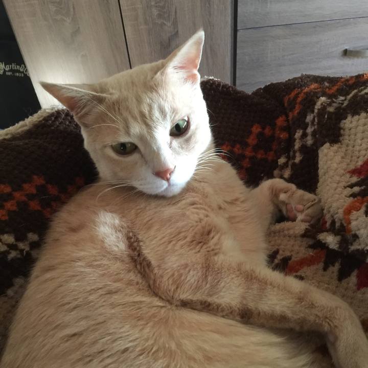 3acc69f1 461a 4d50 a836 8294060f091e