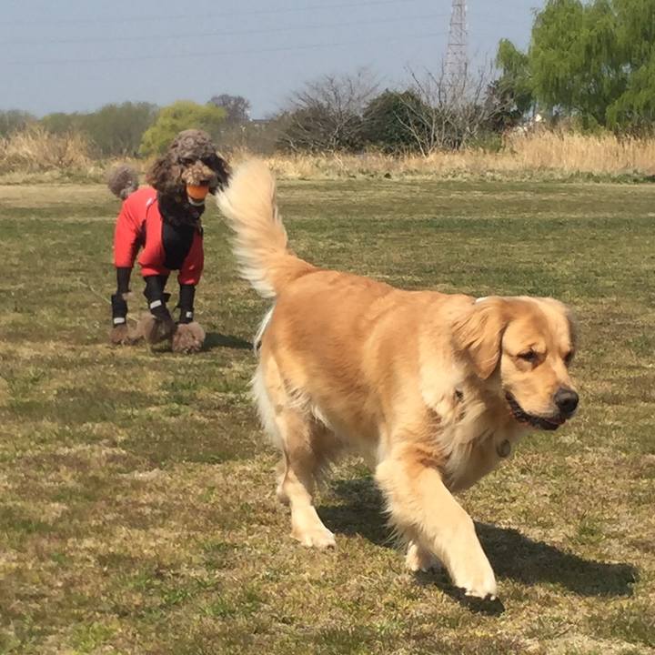 3acc85e9 3364 4698 a8b2 1890efd211a4