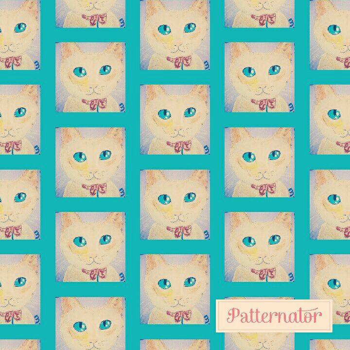 3acc9bec 5897 455f bf66 883ecccf01e2