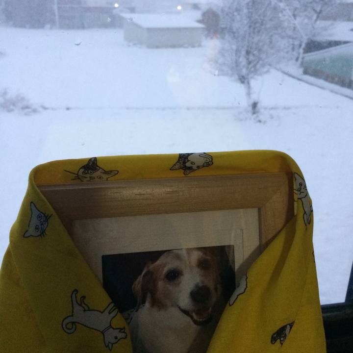 3acced3e 9a97 40e3 ba1e 151ce4df512c