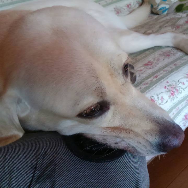 3acdd5ed 4d5a 49a7 be8e 8f77cb09ab95